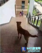 如果能带LOL英雄回去见家人 结局震惊父母