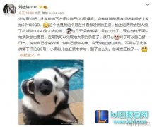 阿怡代打之后何去何从：退出or换平台？,lol日服