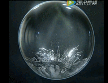 ScreenGif.gif