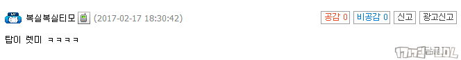 r15.png