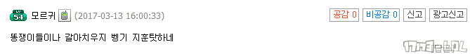 vg25.png