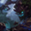 Maokai_0.jpg