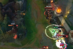 ScreenGif.gif