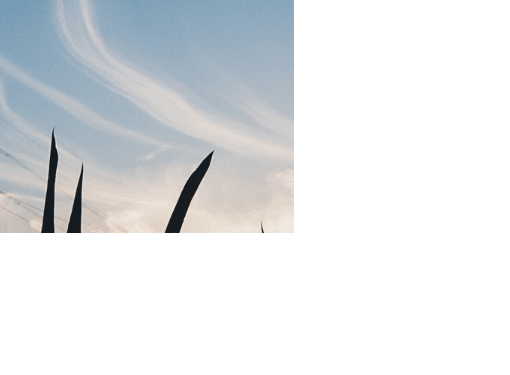 a (6).gif