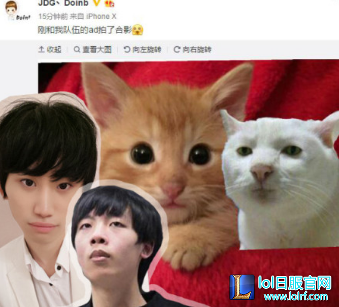 QQ截图20171223130248.png